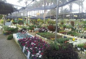 לבלוב - בית הספר לגינון