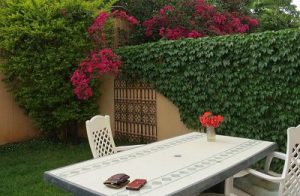 גן קטן - בוטיק הנוף