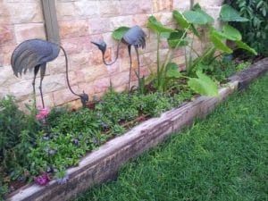 שירותי גינון ופיתוח