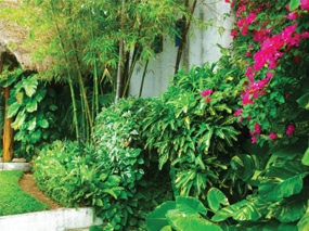 גן העדן הקסום