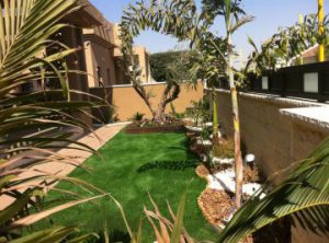 אמירים - גינון ופיתוח