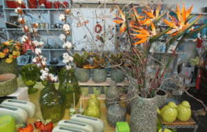 משתלת האירוסים