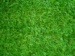 רקע של דשא סינטטי