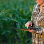 מערכות השקיה