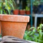 מסור חשמלי לגינה