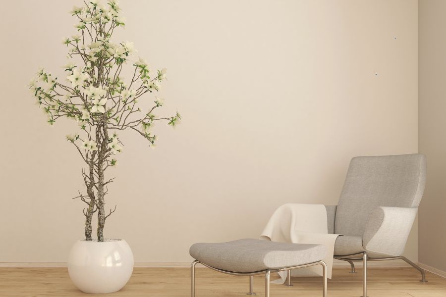 עציץ גדול לסלון